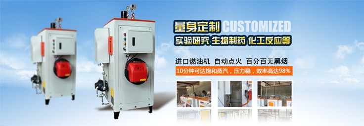 燃油蒸汽发生器 燃油蒸汽发生器