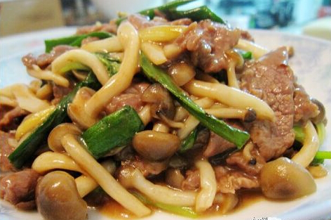食用菌 食用菌