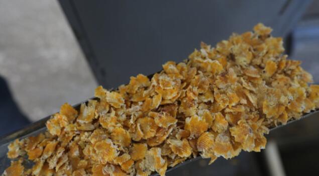 全自动燃油蒸汽发生器厂家 全自动燃油蒸汽发生器厂家