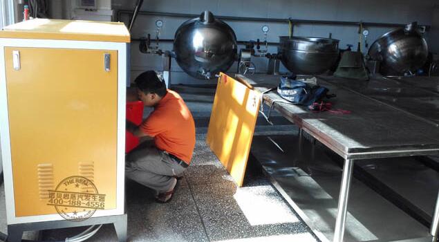 高温消毒蒸汽发生器 高温消毒蒸汽发生器