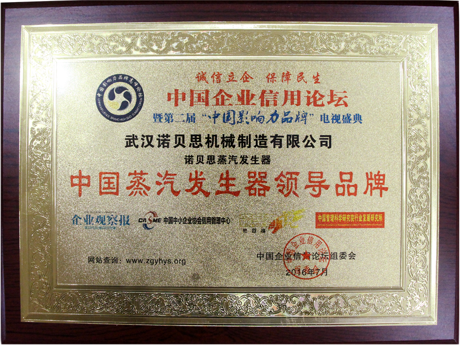 中国蒸汽发生器领导品牌好色先生污版APP