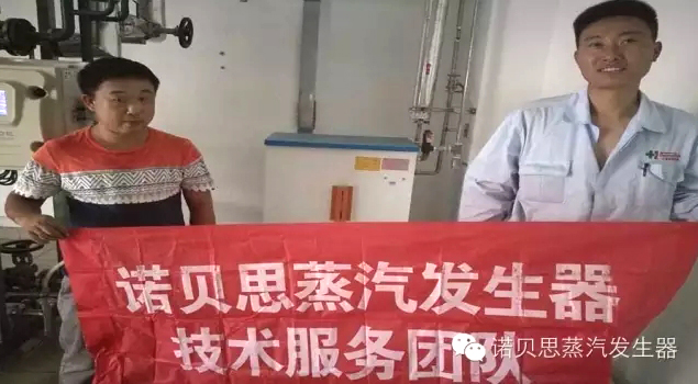 制药专用蒸汽发生器 制药专用蒸汽发生器