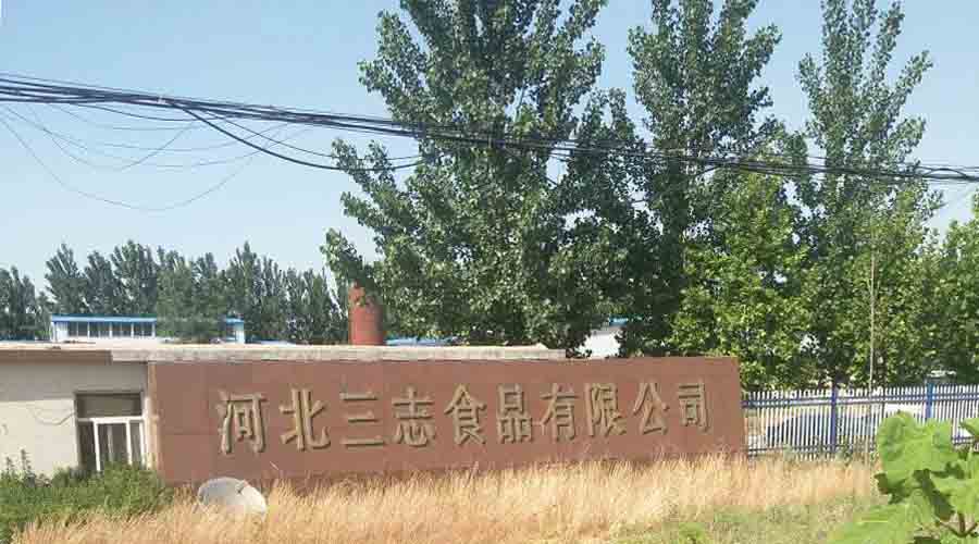 河北蒸汽发生器 河北蒸汽发生器