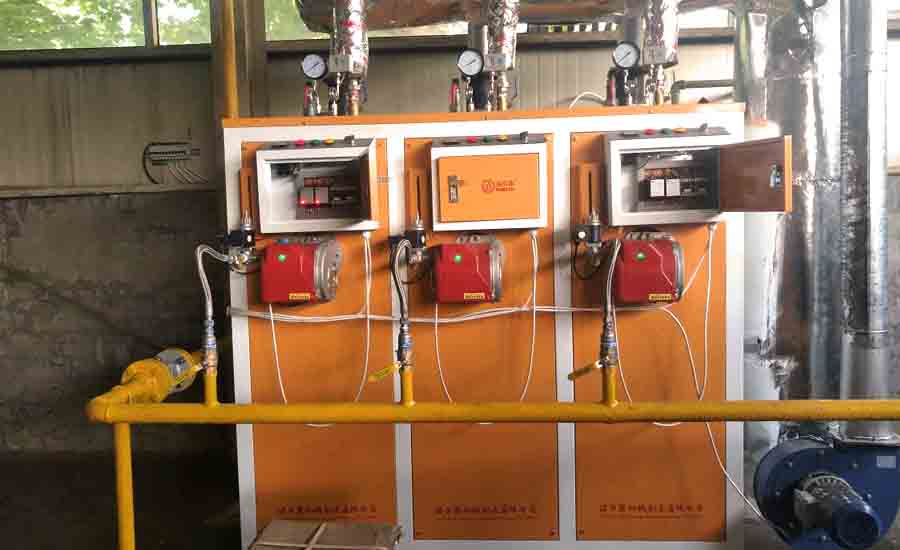 食品加工蒸汽发生器 食品加工蒸汽发生器