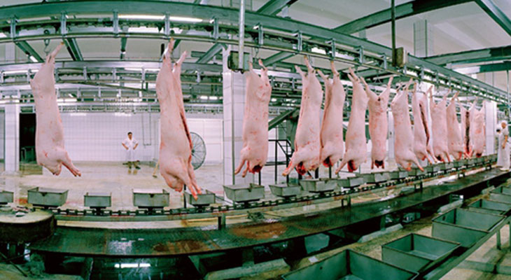 猪肉厂屠宰加温蒸汽发生器 猪肉厂屠宰加温蒸汽发生器