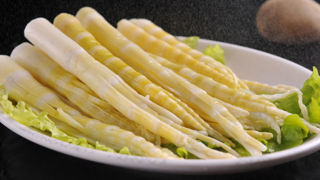 91好色先生IOS下载