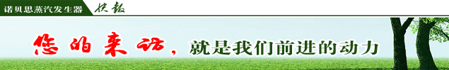 新式烧酒配套蒸汽发生器 新式烧酒配套蒸汽发生器