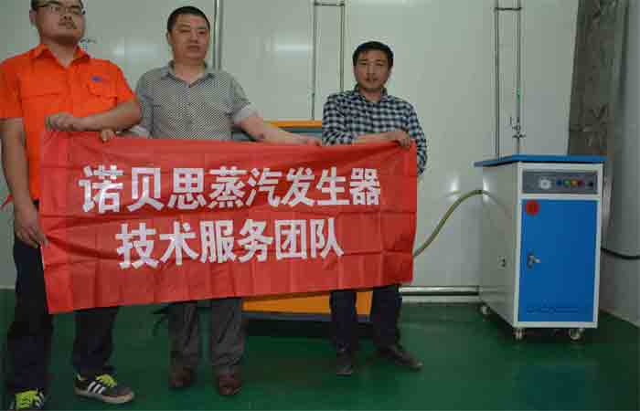 豆制品加工蒸汽发生器 豆制品加工蒸汽发生器