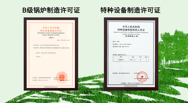 燃气蒸汽锅炉 燃气蒸汽锅炉