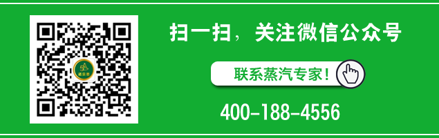 食品加工蒸汽发生器 食品加工蒸汽发生器