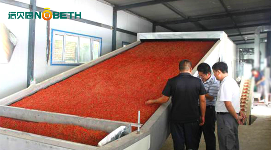 好色先生IOS破解版