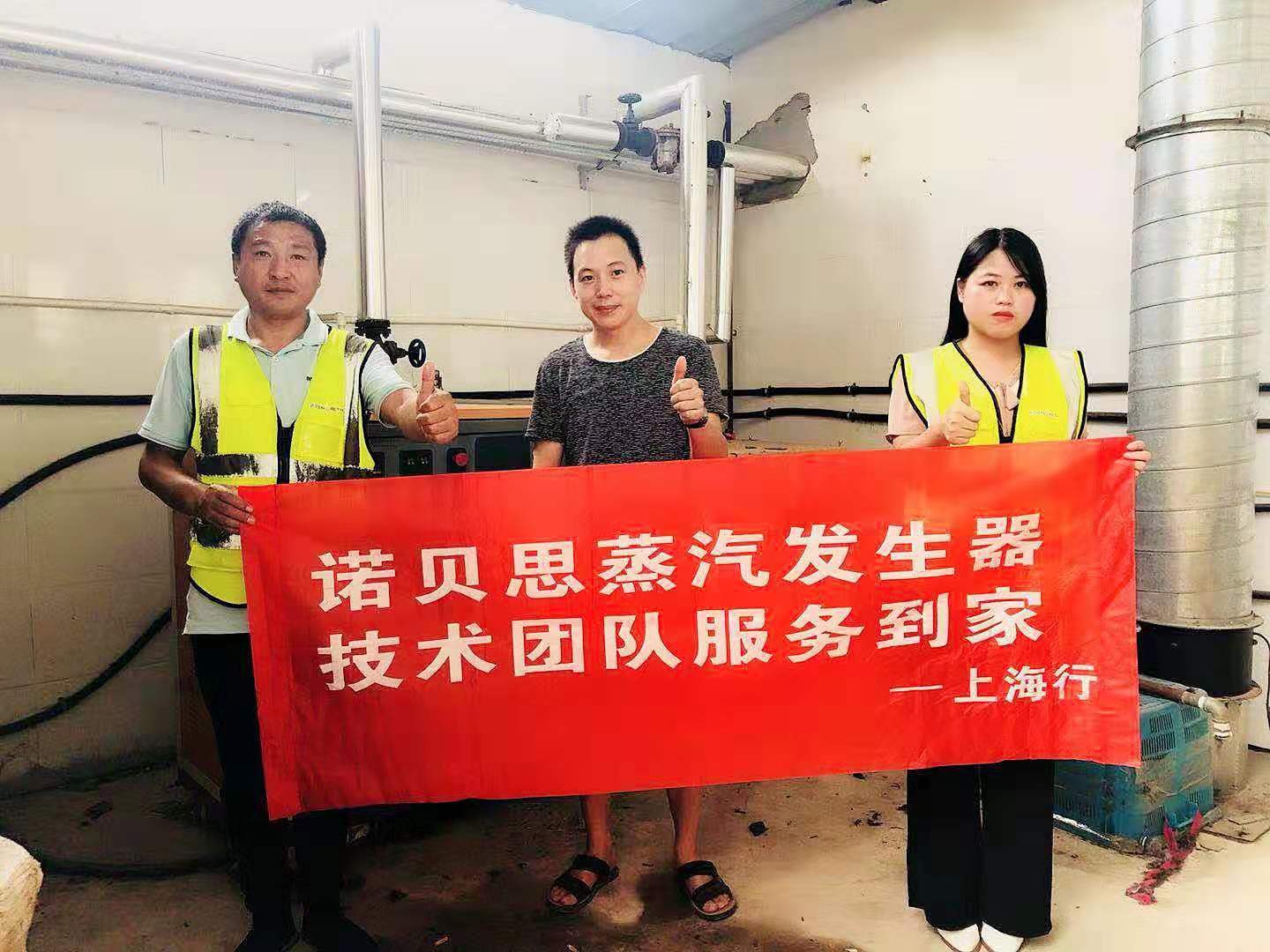 全自动蒸汽发生器 全自动蒸汽发生器