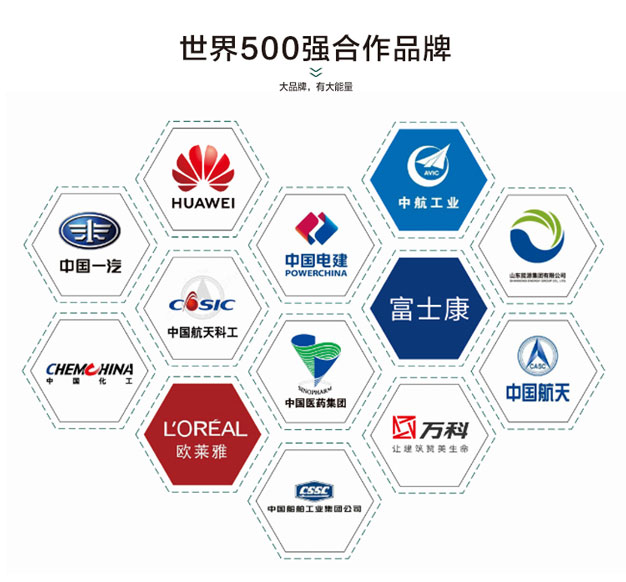 好色先生污版APP世界500强合作案例