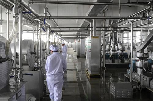 生物质蒸汽发生器用于食品加工厂现场案例