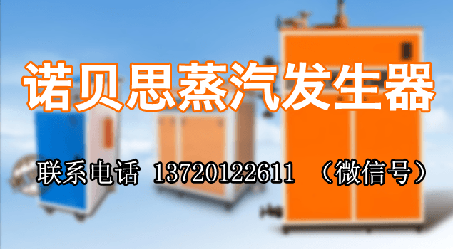 武钢集团购好色先生污版APP蒸汽发生器用于食堂蒸饭保温