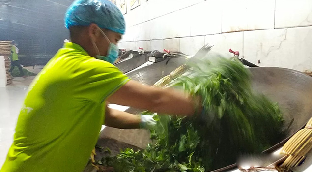 电气化制茶成主流，蒸汽发生器让制茶无烟化，实现零排放的环保目标