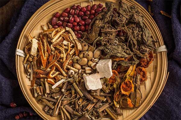 颠覆中药材行业生产工艺流程，91好色先生IOS下载的作用