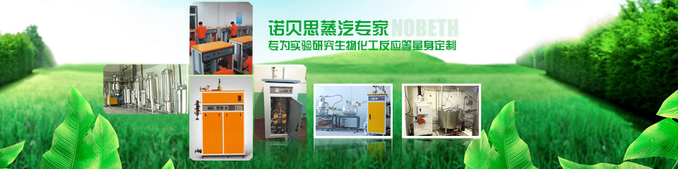 蒸汽发生器 蒸汽发生器